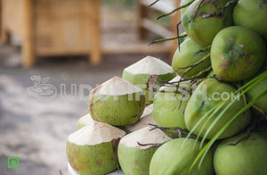 Tender Coconut - Medium, 1 pc (5555820134564)