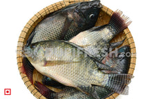 Load image into Gallery viewer, Freshwater Fresh Tilapia, 1 Kg
