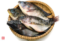 Load image into Gallery viewer, Freshwater Fresh Tilapia, 1 Kg
