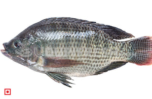 Freshwater Fresh Tilapia, 1 Kg