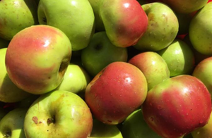 Apple Kashmir Mishri, 1 Kg