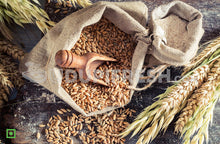 Load image into Gallery viewer, Wheat - Whole, 1 kg
