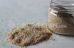 Wheat Broken/Dalia, 500 g Pouch