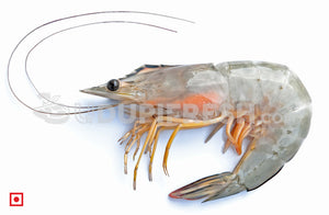 White Prawns - Small, 1 kg (5551707685028)