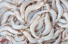 Load image into Gallery viewer, White Prawns - Small, 1 kg (5551707685028)
