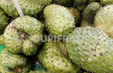 Load image into Gallery viewer, Soursop Fruit, 1 to 1.2 kg
