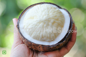 Royal Fruit Coconut Embryo, Coconut Apple, 1 PC