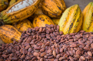 Cocoa Beans, 500 g