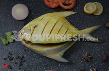 Load image into Gallery viewer, Ready to Cook - Marinate Green Big Silver Pomfret Fish
