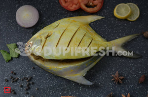 Ready to Cook - Marinate Green Big Silver Pomfret Fish