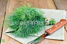 Load image into Gallery viewer, Dill Leaves /  ಸಬ್ಬಸಿಗೆ ಎಲೆಗಳು, 100 g
