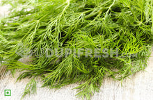 Load image into Gallery viewer, Dill Leaves /  ಸಬ್ಬಸಿಗೆ ಎಲೆಗಳು, 100 g
