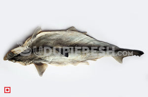Dry Shark Fish, 1 Fish