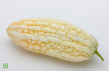 Load image into Gallery viewer, White Bitter Melon, 500 g
