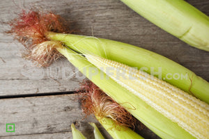 Fresh Full Baby Corn , 1 Kg