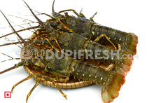 Load image into Gallery viewer, Lobster, 1 Kg
