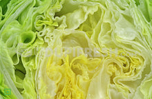 Load image into Gallery viewer, Iceberg Lettuce , 400 to 500 g
