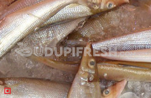 Fresh Kane – Lady Fish, (Medium), 1 Kg – udupifresh.com