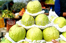 Load image into Gallery viewer, Thai Guava,1 Kg
