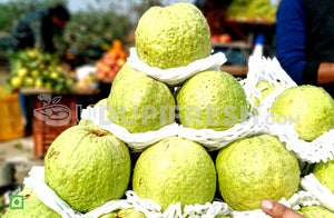 Thai Guava,1 Kg