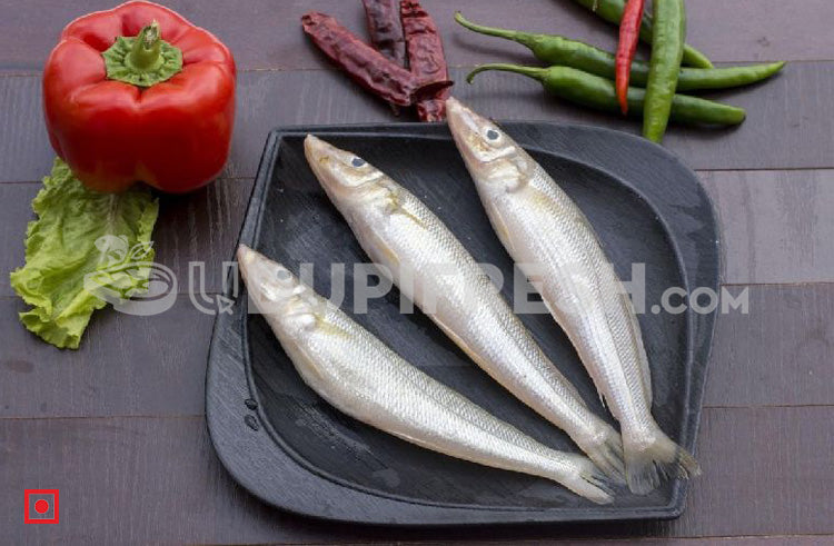 Fresh Kane – Lady Fish, (Medium), 1 Kg – udupifresh.com