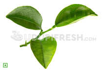 Load image into Gallery viewer, Lemon Leaf , 20 Leaf
