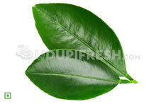 Load image into Gallery viewer, Lemon Leaf , 20 Leaf
