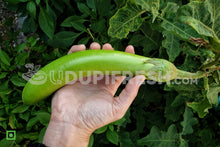 Load image into Gallery viewer, Long Green Eggplant, 500 g
