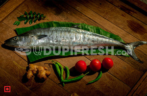Ready to Cook - Marinated Kingfish Fish Slice
