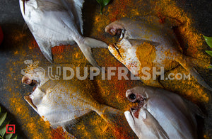 Ready to Cook - Marinated Big White Pomfret Fish