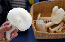 Load image into Gallery viewer, Organic Oyster Mushrooms, 250 g
