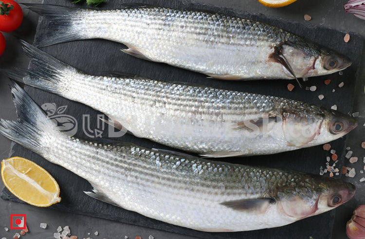 Freshwater Mullet Fish / Malai Fish , 1 Kg – UDUPI FRESH