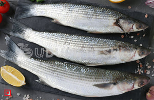 Freshwater Mullet Fish / Malai Fish , 1 Kg
