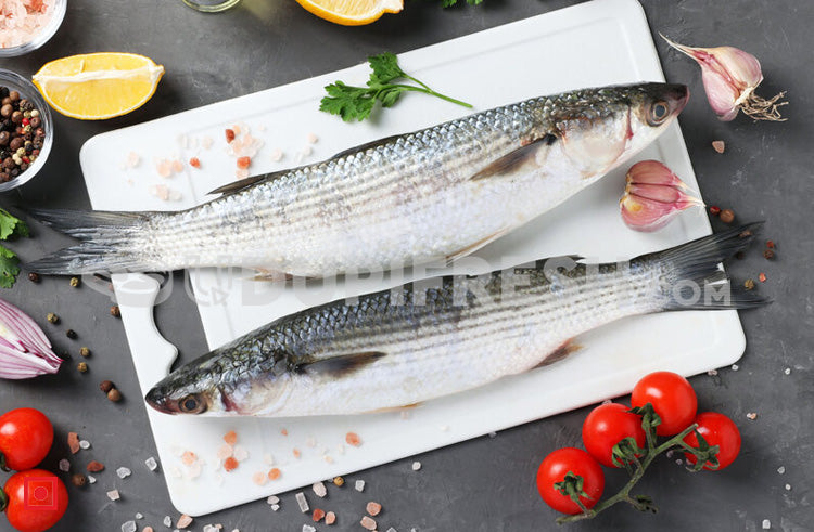 Freshwater Fresh Mullet Fish / Malai Fish , 1 Kg – UDUPI FRESH