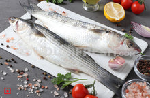 Load image into Gallery viewer, Freshwater Mullet Fish / Malai Fish , 1 Kg
