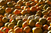 Load image into Gallery viewer, Orange - Nagpur , Regular, 1 Kg
