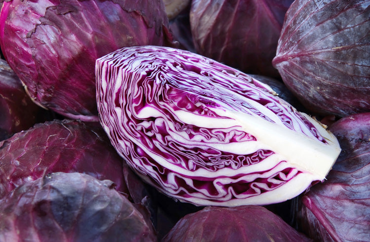 Red cabbage, 800 to 1 Kg
