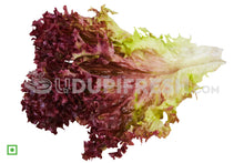 Load image into Gallery viewer, Red Lettuce, 500 g
