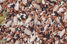 Load image into Gallery viewer, Pumpkin Roasted Seeds , 200 g
