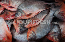 Load image into Gallery viewer, Freshwater Fresh Roopchand Fish / Pacur Fish  1 Kg
