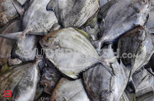 Load image into Gallery viewer, Black Pomfret/Black Maanji-  Small , 1 kg
