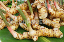 Load image into Gallery viewer, Thai Ginger  / Fresh galangal  250 g
