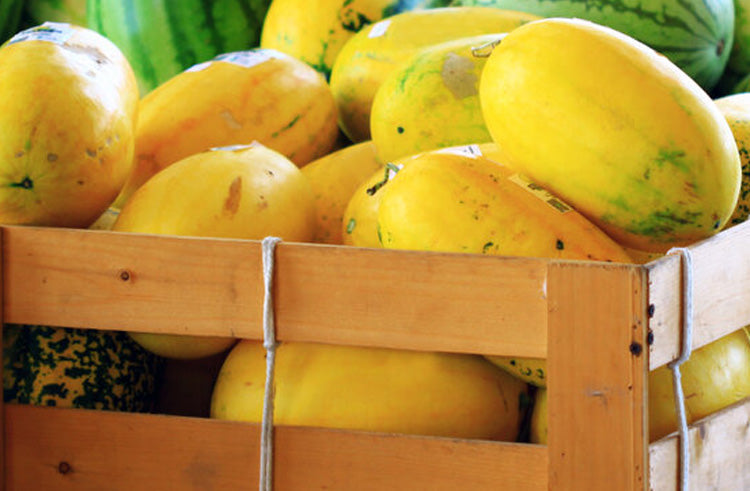 Yellow Watermelon, 2.5 to 3 Kg